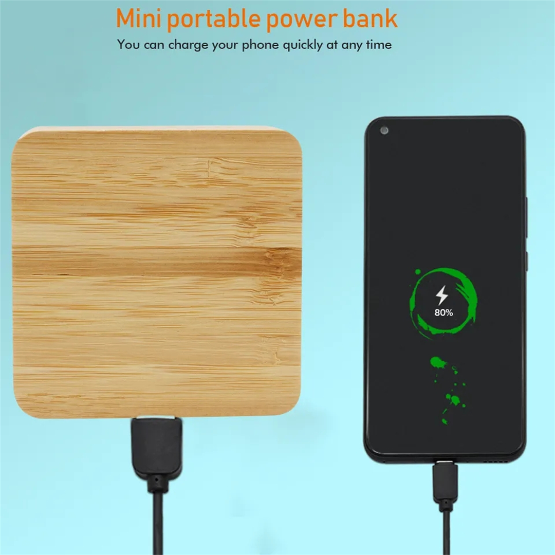 Bamboo SQ 8000mah (23).jpg