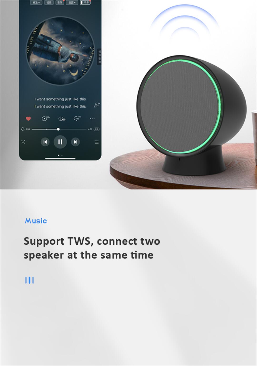 Mini speaker H (8).jpg