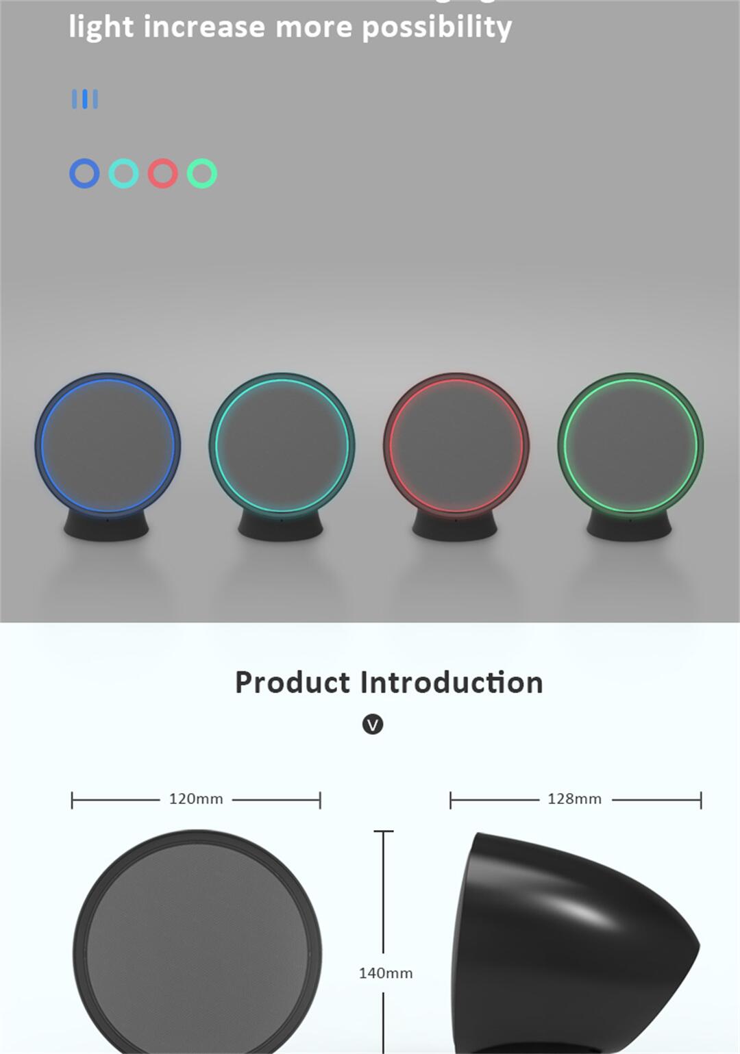 Mini speaker H (11).jpg