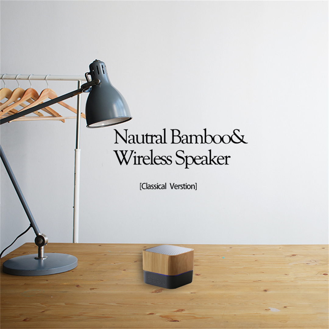 Mini speaker N O (5).jpg