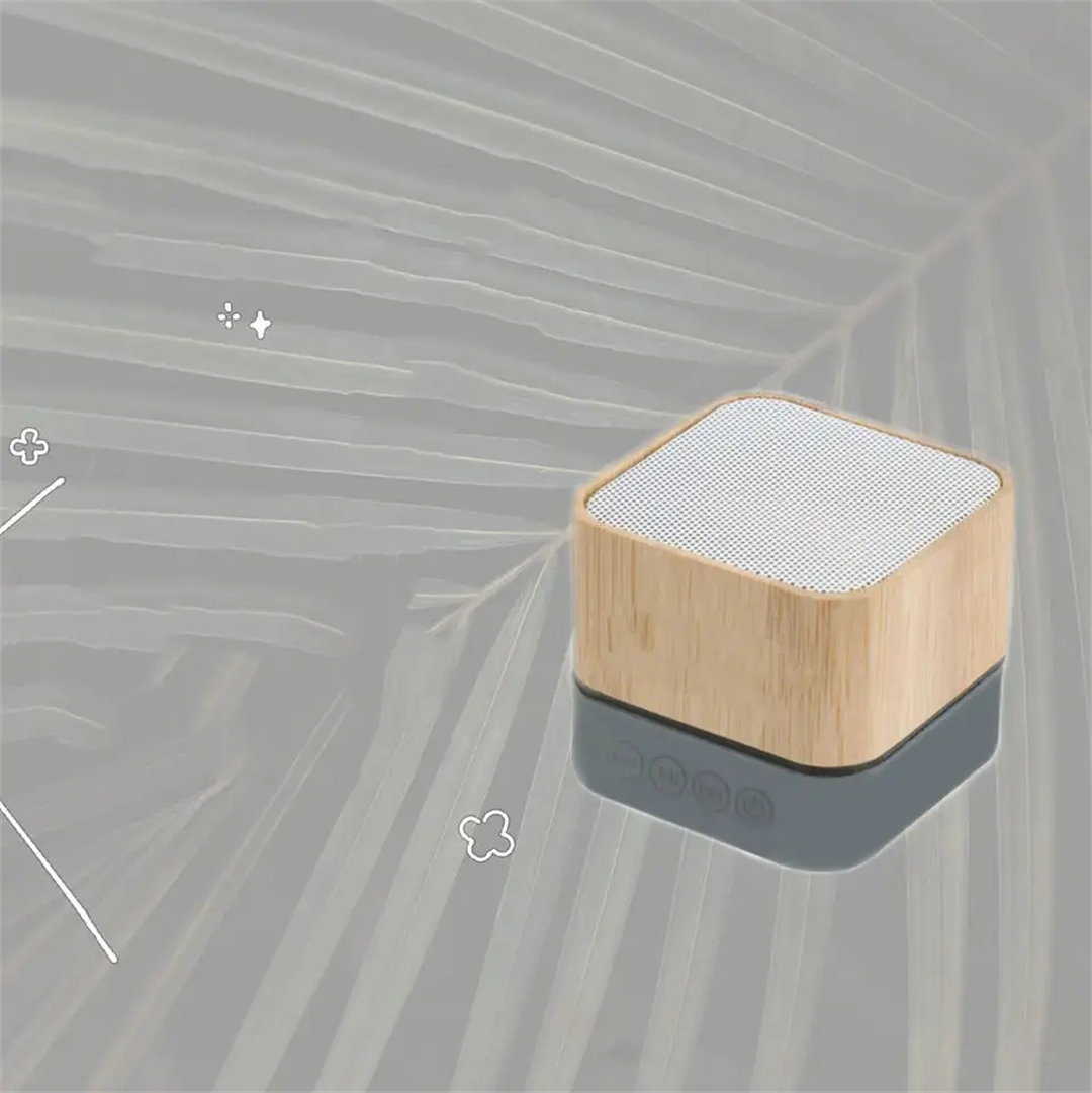 Mini speaker N O (15).jpg