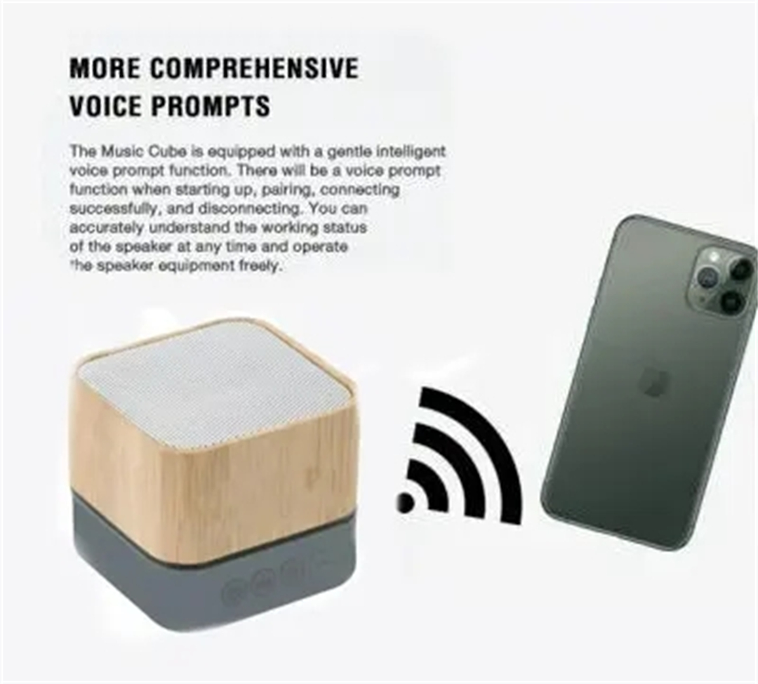 Mini speaker N O (16).jpg
