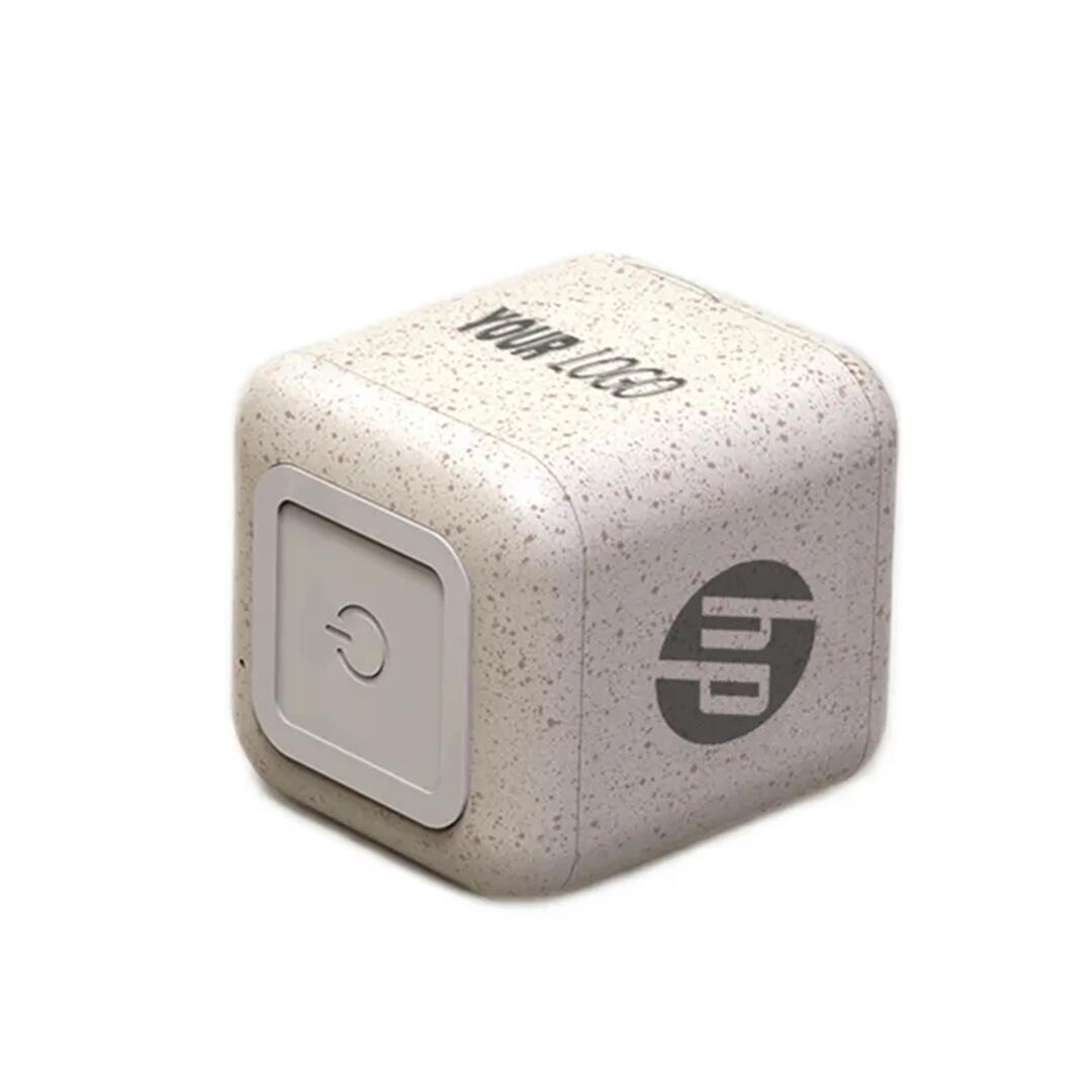 Mini Speaker Q (4).jpg