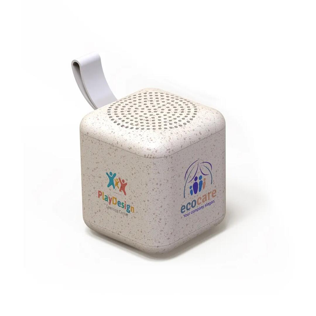 Mini Speaker Q (6).jpg