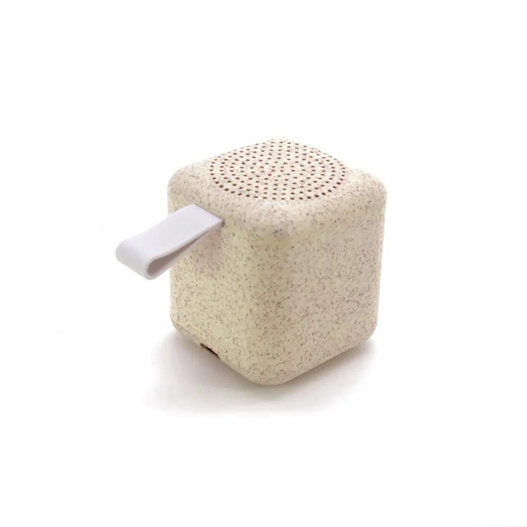 Mini Speaker Q (9).jpg