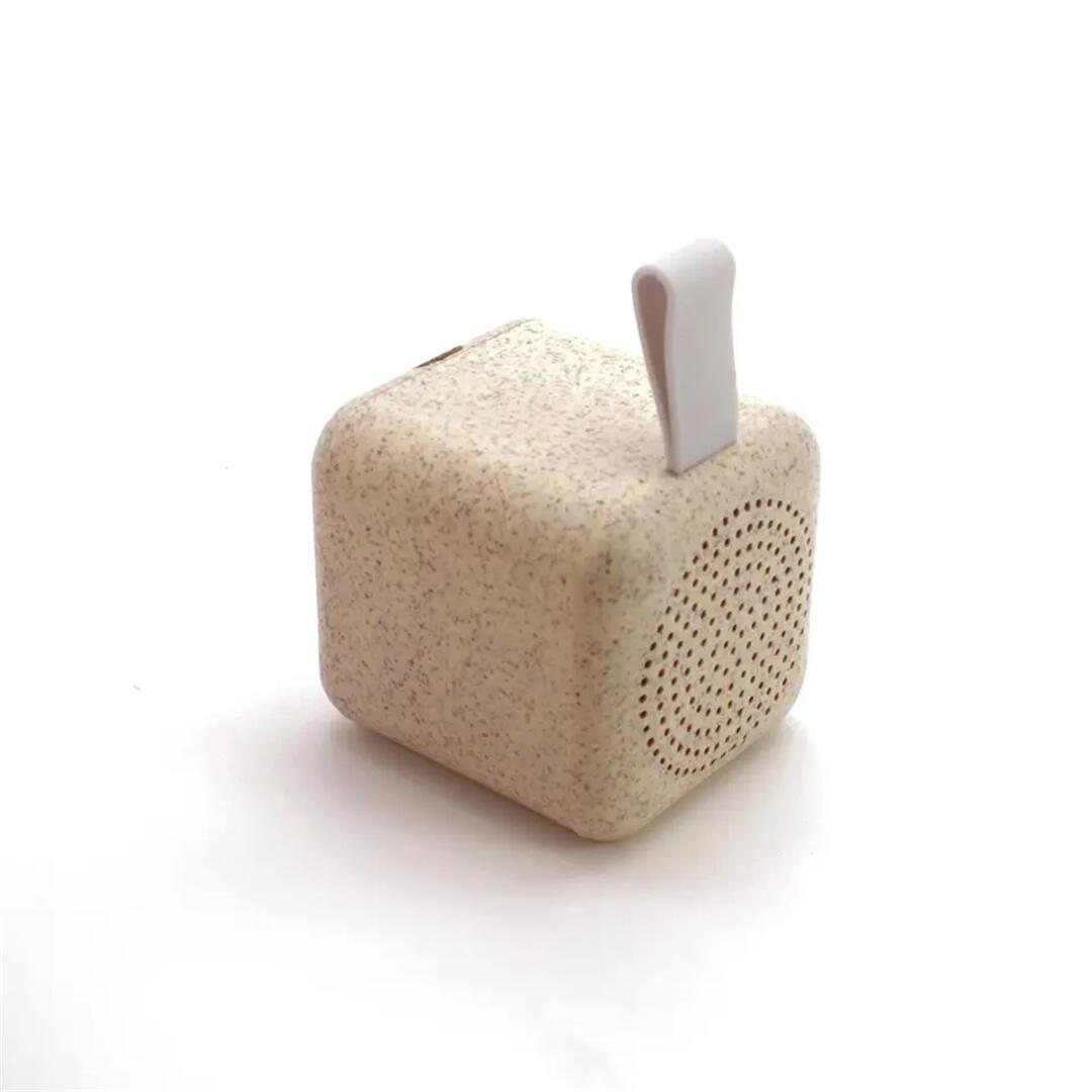 Mini Speaker Q (13).jpg