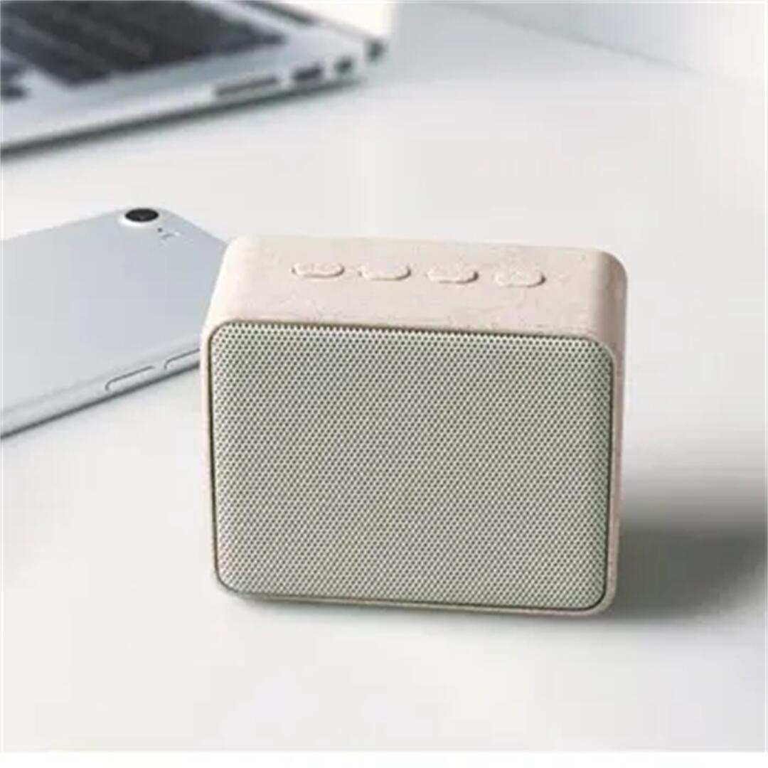 Mini Speaker S (6).jpg