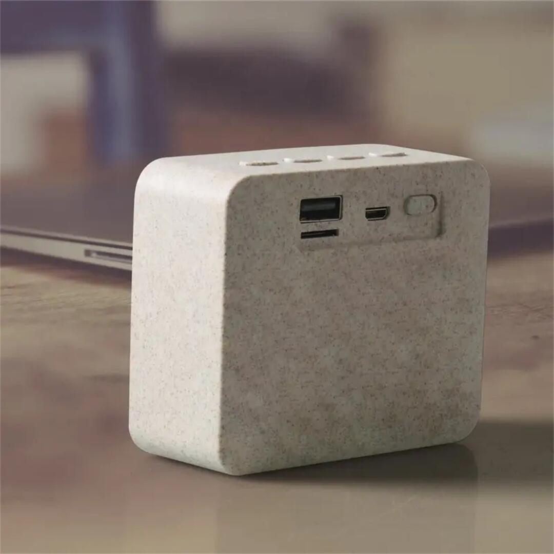 Mini Speaker S (8).jpg